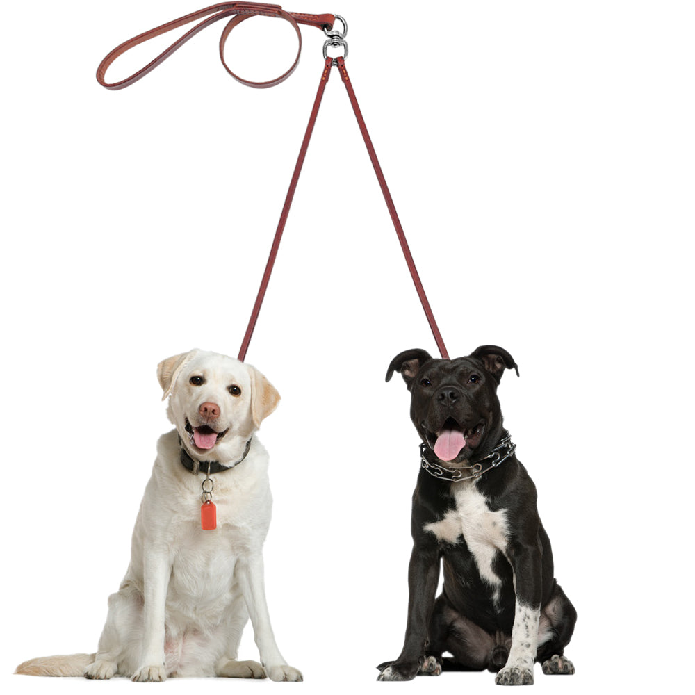 2 Way Real Leather Coupler Dog Walking Leash Dual