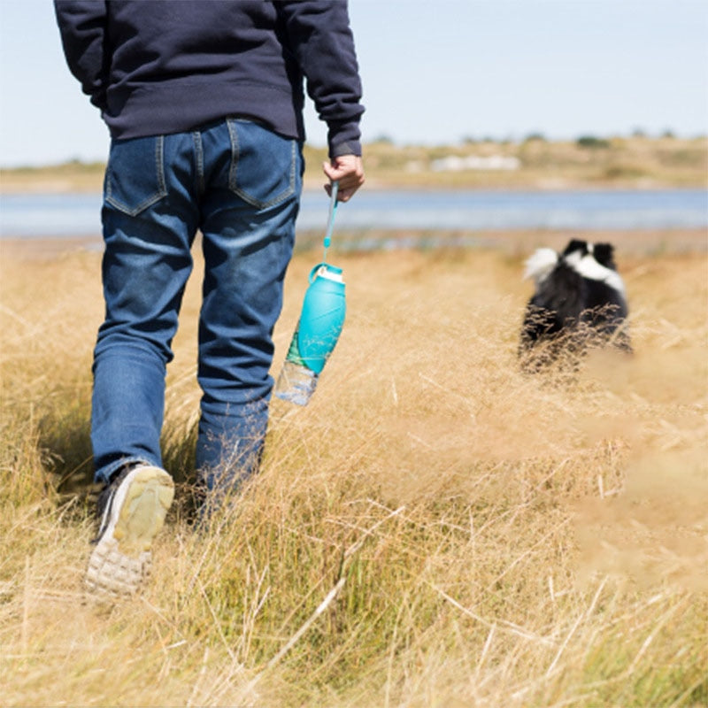 580ml Portable Pet Dog Water Bottle For Walking