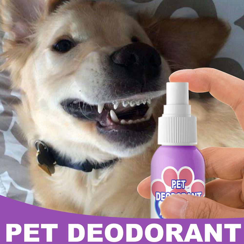 60ml Pet Oral Cleanse Spray Dogs Cats Teeth Clean Deodorant Prevent