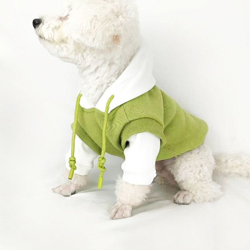 Autumn And Winter Padded Fake Two Piece Dog Clothes Bichon Frise