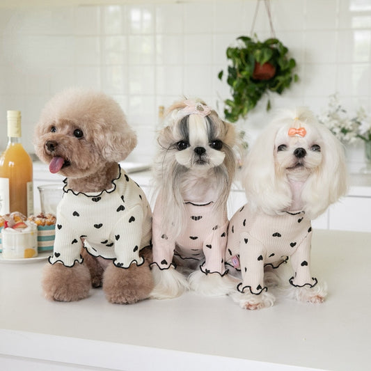 Autumn and Winter Pet Undercoat Clothes Embroidered Bear Waffle Home