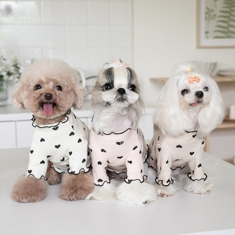 Autumn and Winter Pet Undercoat Clothes Embroidered Bear Waffle Home