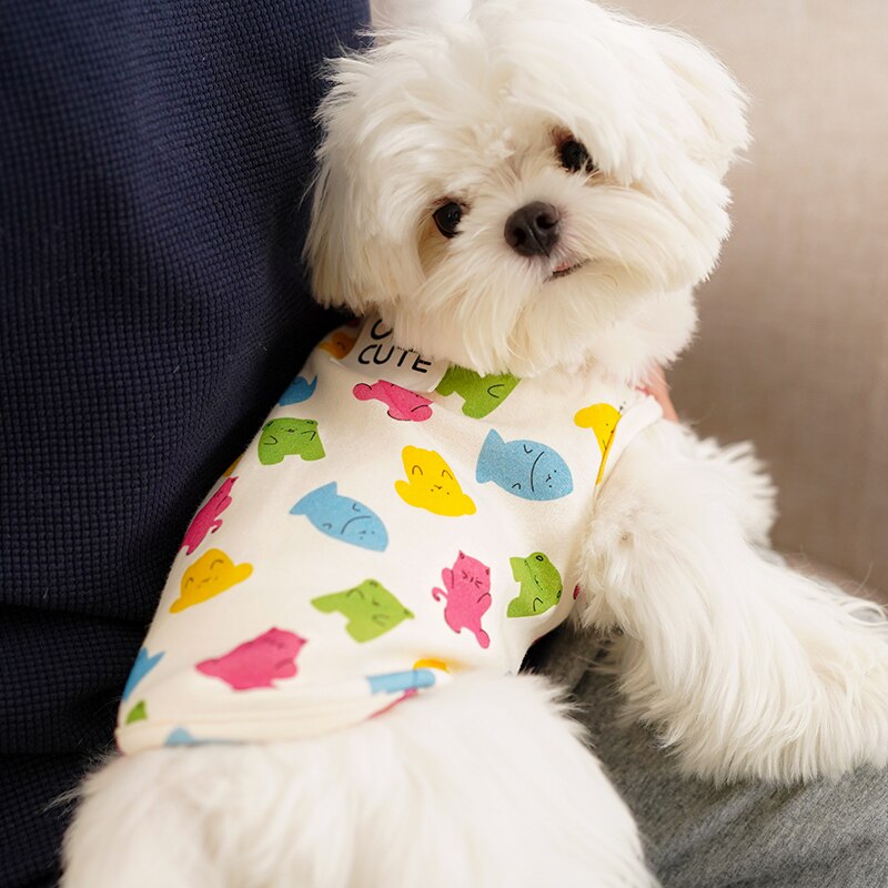 Autumn Summer Pet Clothing Summer Thin Teddy Bixiong Bomei Chenery