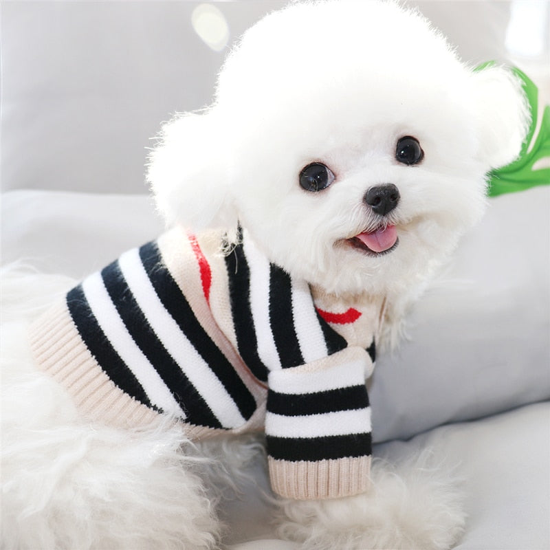 Button striped dog sweater autumn and winter clothes Teddy kittens