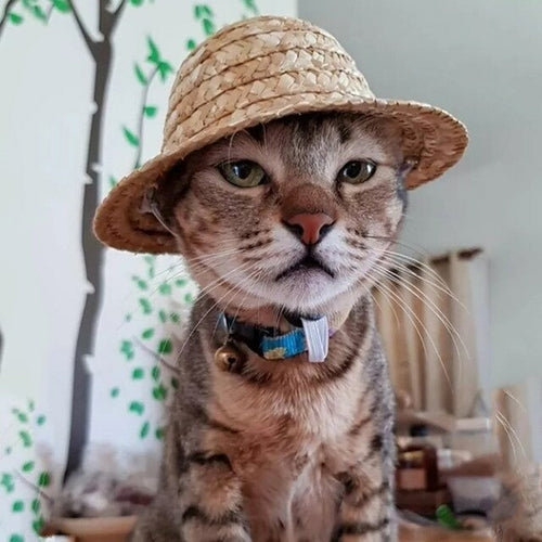 Cat Cap Dog Cap Pet Hat Straw Hat Pet Supplies Fashion Cosplay Farmer