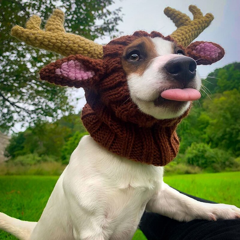 Cute Animals Pet Cat Hat Autumn Winter Knitted Dogs Cap Deer Ears Warm