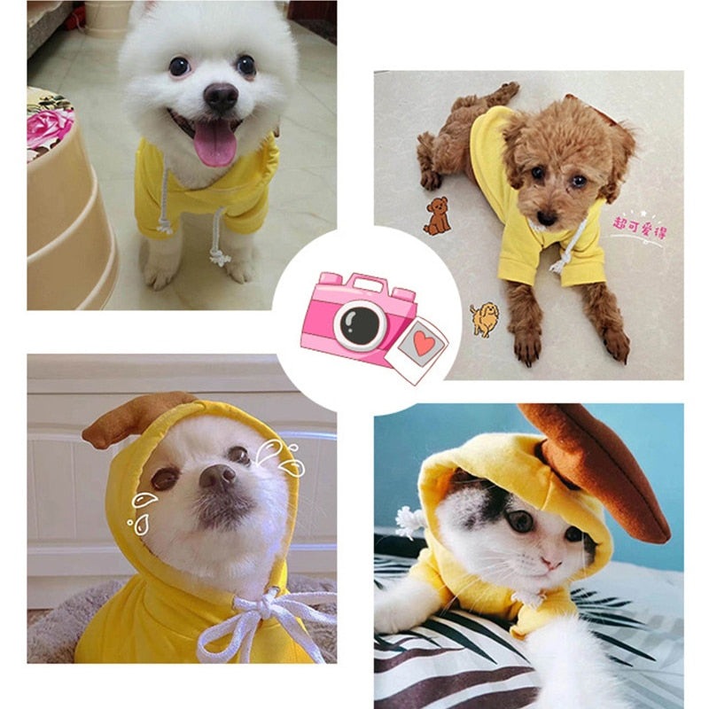 Cute Fruit Dog Clothes for Small Dogs hoodies Warm Fleece Pet Clothing