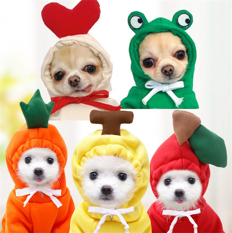 Cute Fruit Dog Clothes for Small Dogs hoodies Warm Fleece Pet Clothing