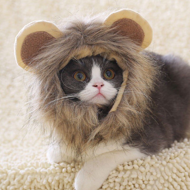 Cute Lion Mane Cat Wig Pet Small Dog Cat Costume Lion Mane Wig Hat Cat