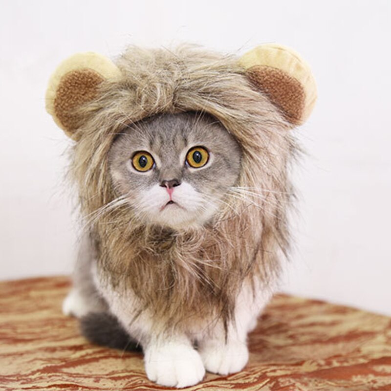 Cute Lion Mane Cat Wig Pet Small Dog Cat Costume Lion Mane Wig Hat Cat