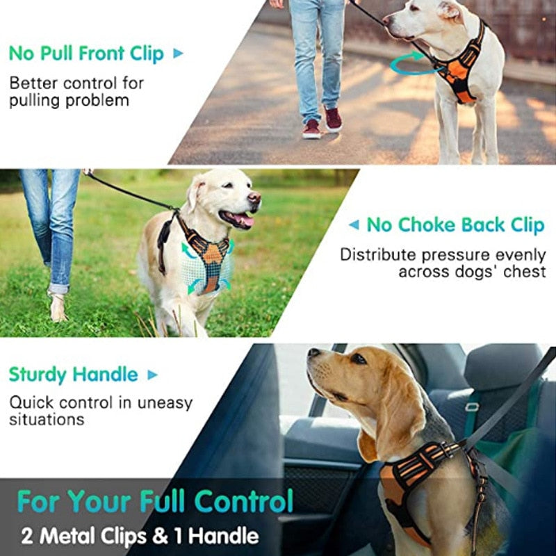 Dog Harness Dog Items Outdoor Walking Training Dog Accessories