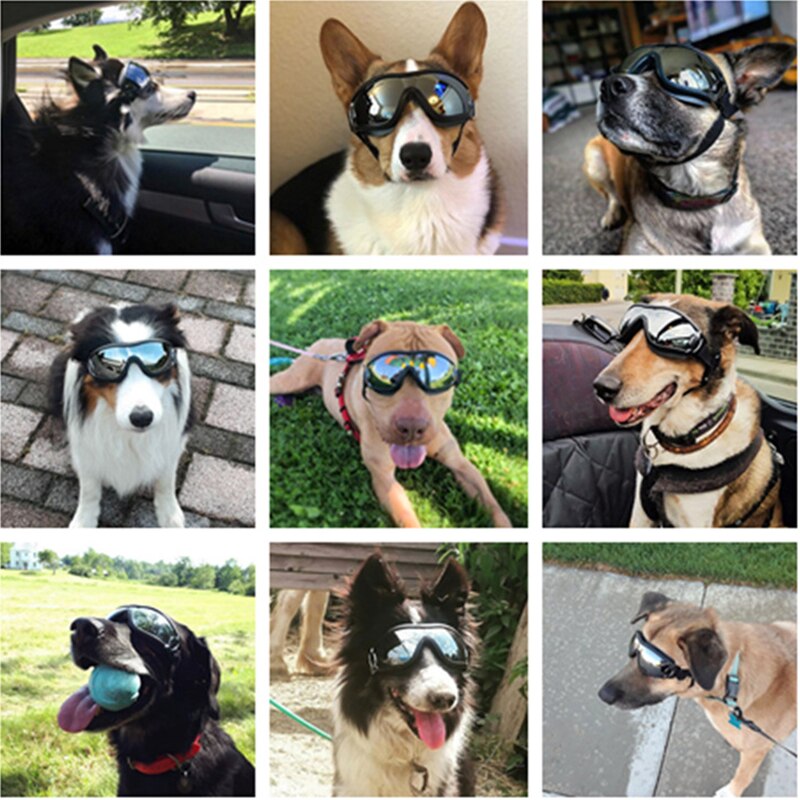 Dog Sunglasses Uv Protection Windproof Goggles Pet Eye Wear Medium