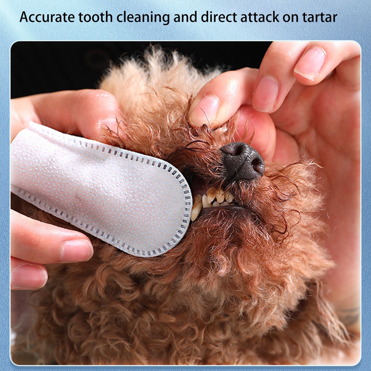 Dog Teeth Cleaning Dental Wipes For Dogs Cats Puppies Kittens Hygienic