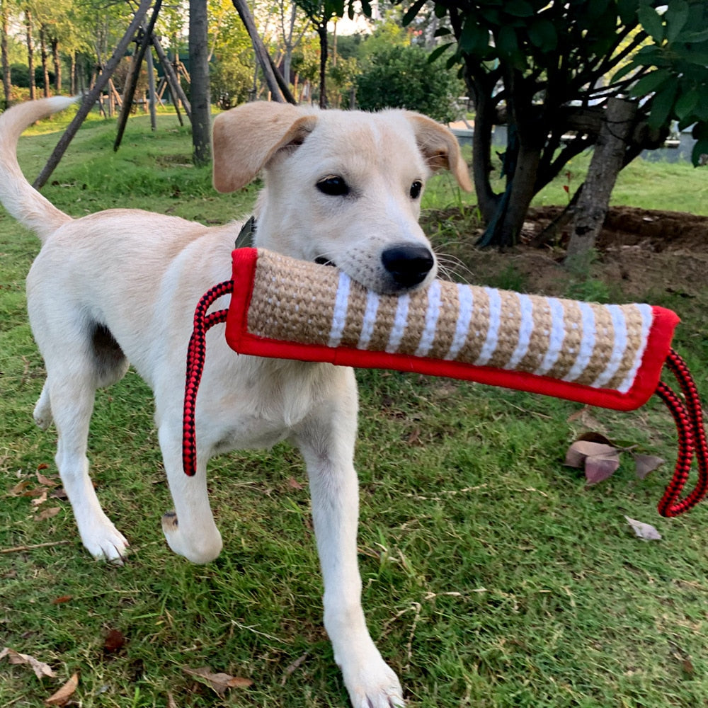 Dog Tug Toy Pet Jute Training Bite Pillow Best for Tug of War , Puppy