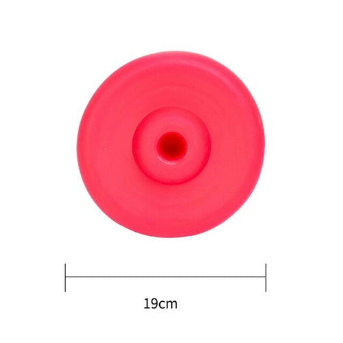 EBES Pet Flying Discs 19cm plastic Resistant Bite Floating toy Flying