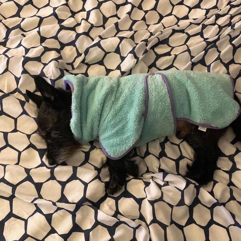 Fleece Warm Pet Dog Bath Towel Fully Wrapped Schnauzer Coat For Small