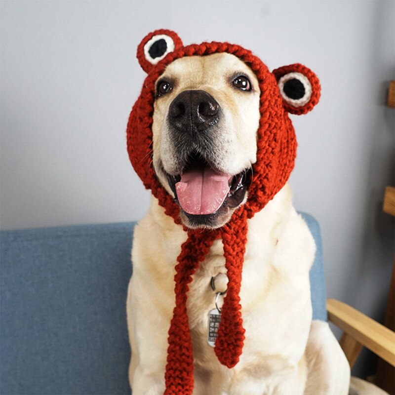 Funny Frog Dog Hat Cute Knitted Pets Golden Retriever Labrador