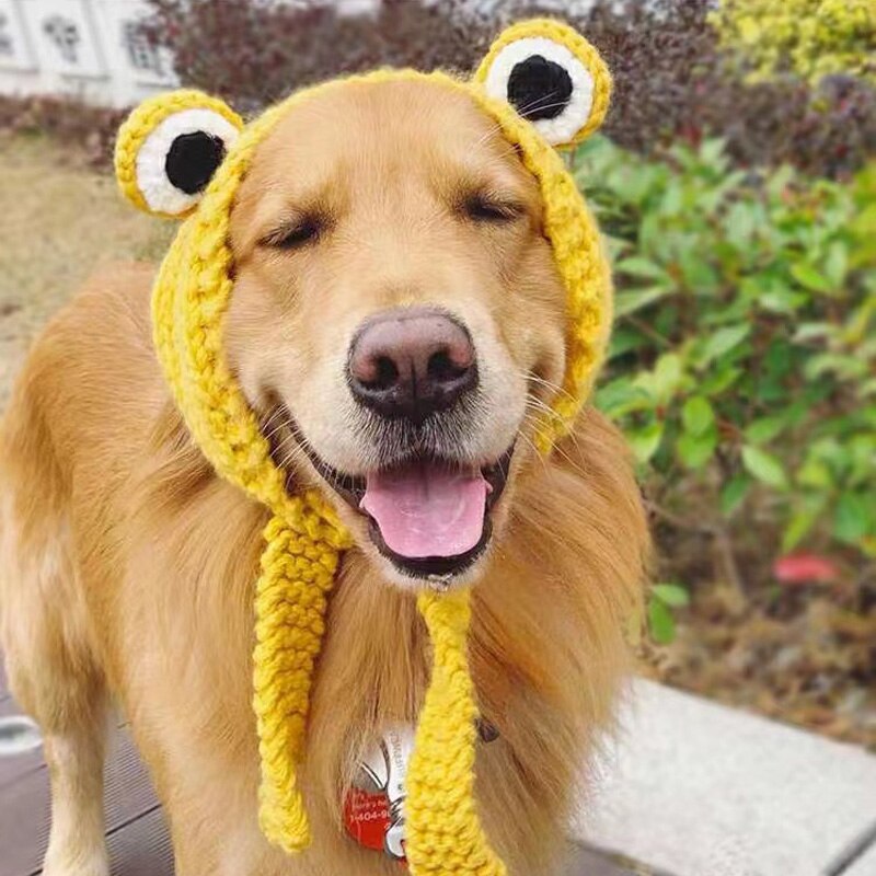 Funny Frog Dog Hat Cute Knitted Pets Golden Retriever Labrador