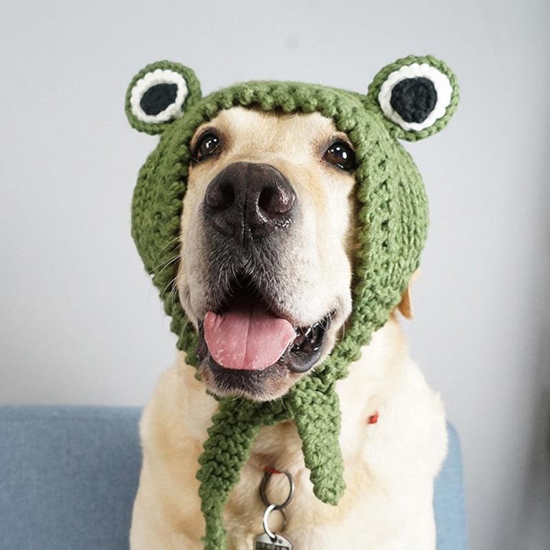 Funny Frog Dog Hat Cute Knitted Pets Golden Retriever Labrador