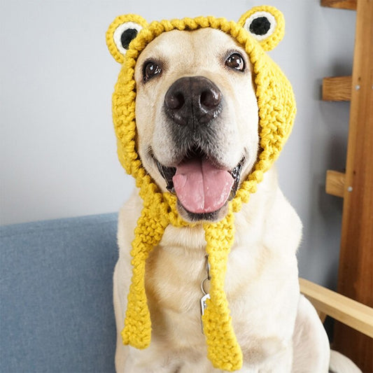 Funny Frog Dog Hat Cute Knitted Pets Golden Retriever Labrador