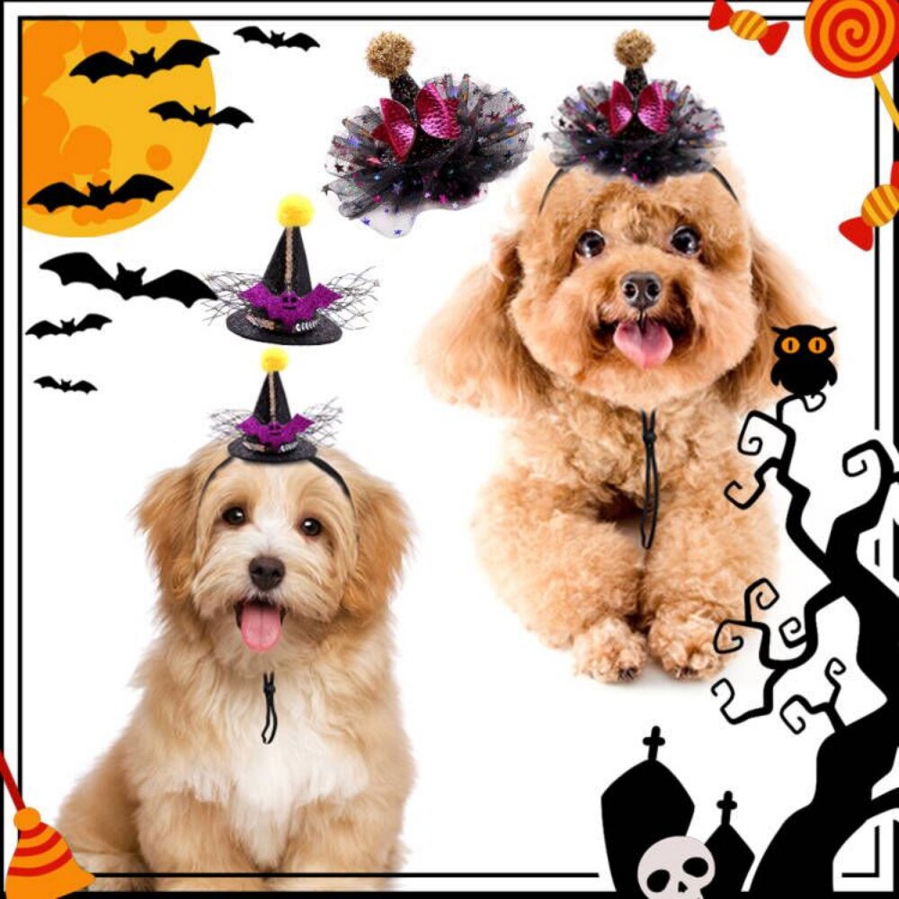 Halloween Dog Hat Bat Pumpkin Hat with Star Pattern Grooming Cosplay