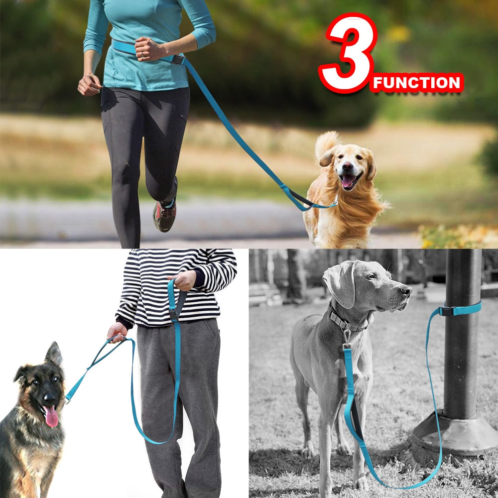 Hands Free Dog Leash Waist Pet Walking Leash Nylon