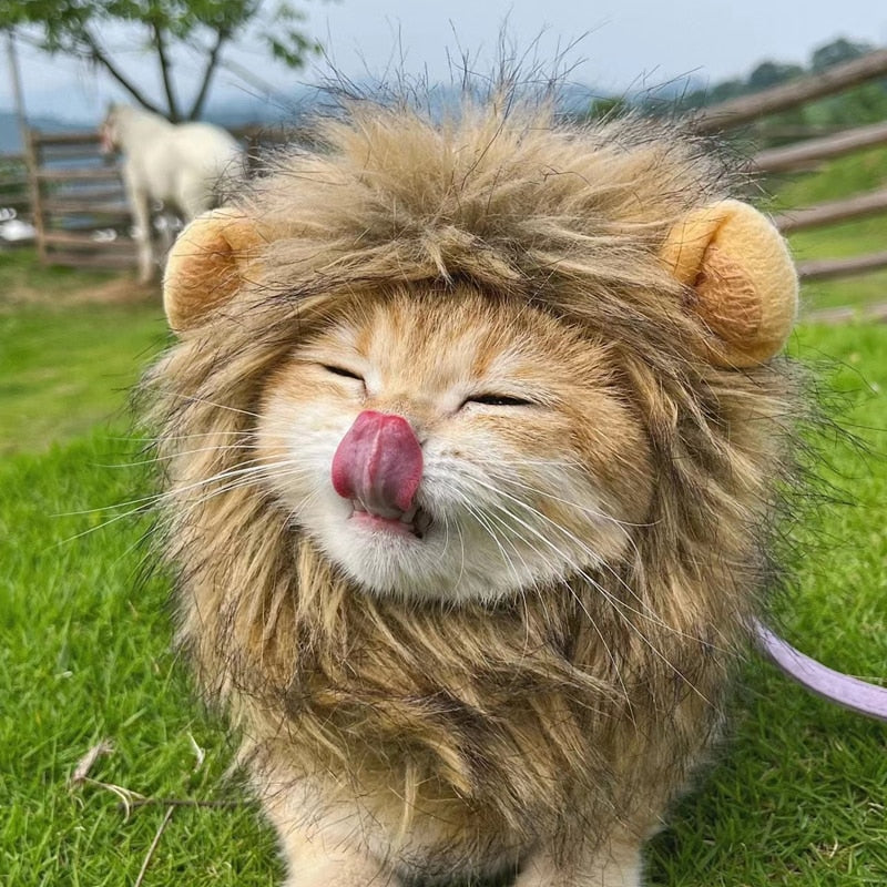 Lion Wig Costume Cats Accessories Cute Funny Pets Clothes Cap Fancy