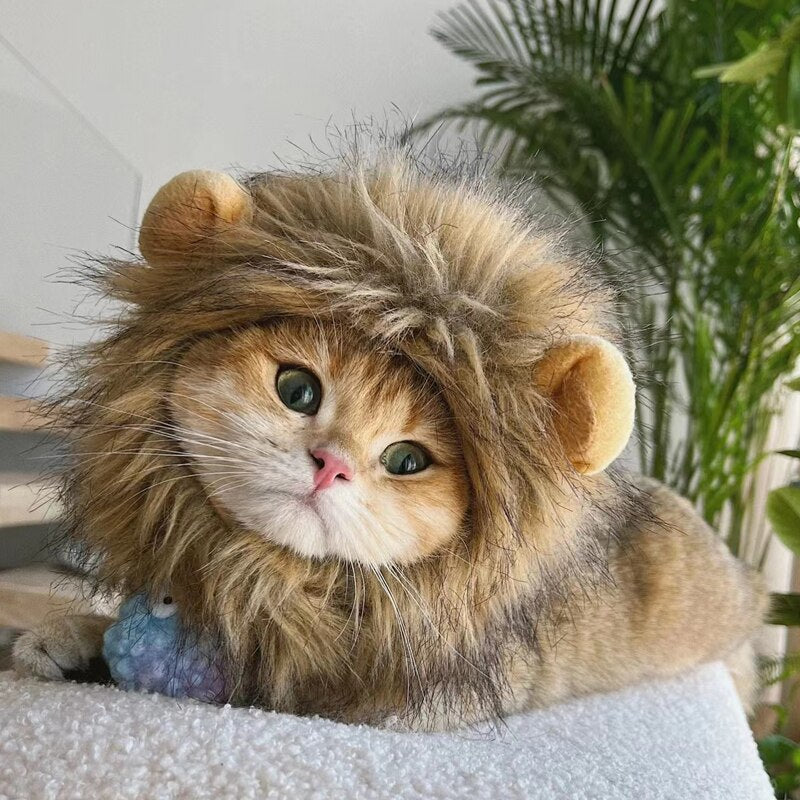 Lion Wig Costume Cats Accessories Cute Funny Pets Clothes Cap Fancy