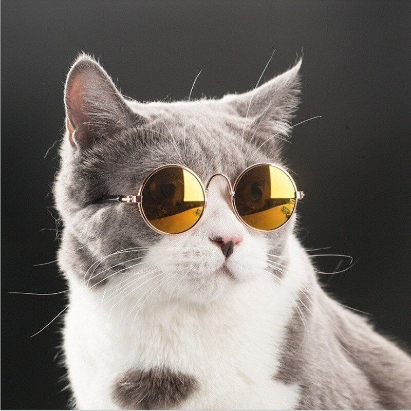 Lovely Pet Cat Glasses Dog Glasses Pet Products Cat Toy Dog Sunglasses