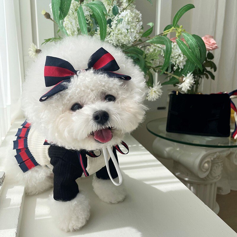 Luxurious Dog Dresses With Hairpin Spring Summer Pet Dog Clothes For