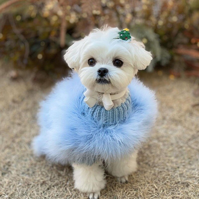 Luxurious Plush Sweater Winter Warm Pet Dog Clothes Puppy Coat Jacket