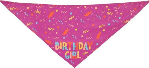 New Pet Triangle Scarf Bone Birthday Suit Dog Birthday Toy Bone Saliva