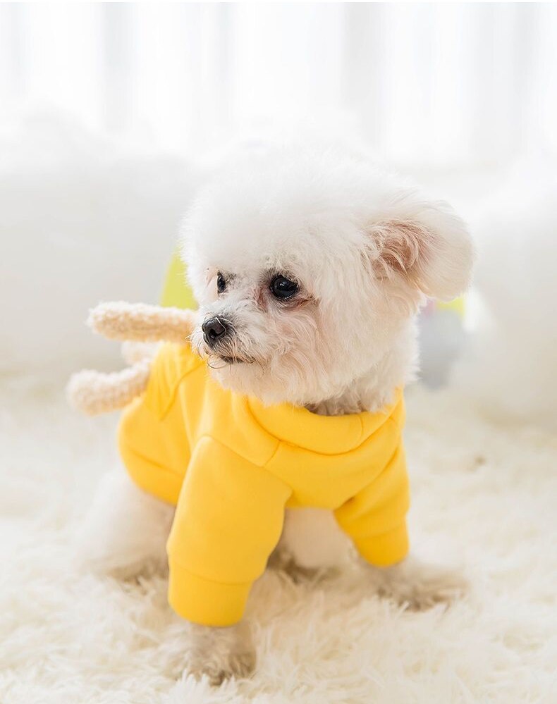 New autumn and winter Dog jersey sweater spring cat cute bear pet dog