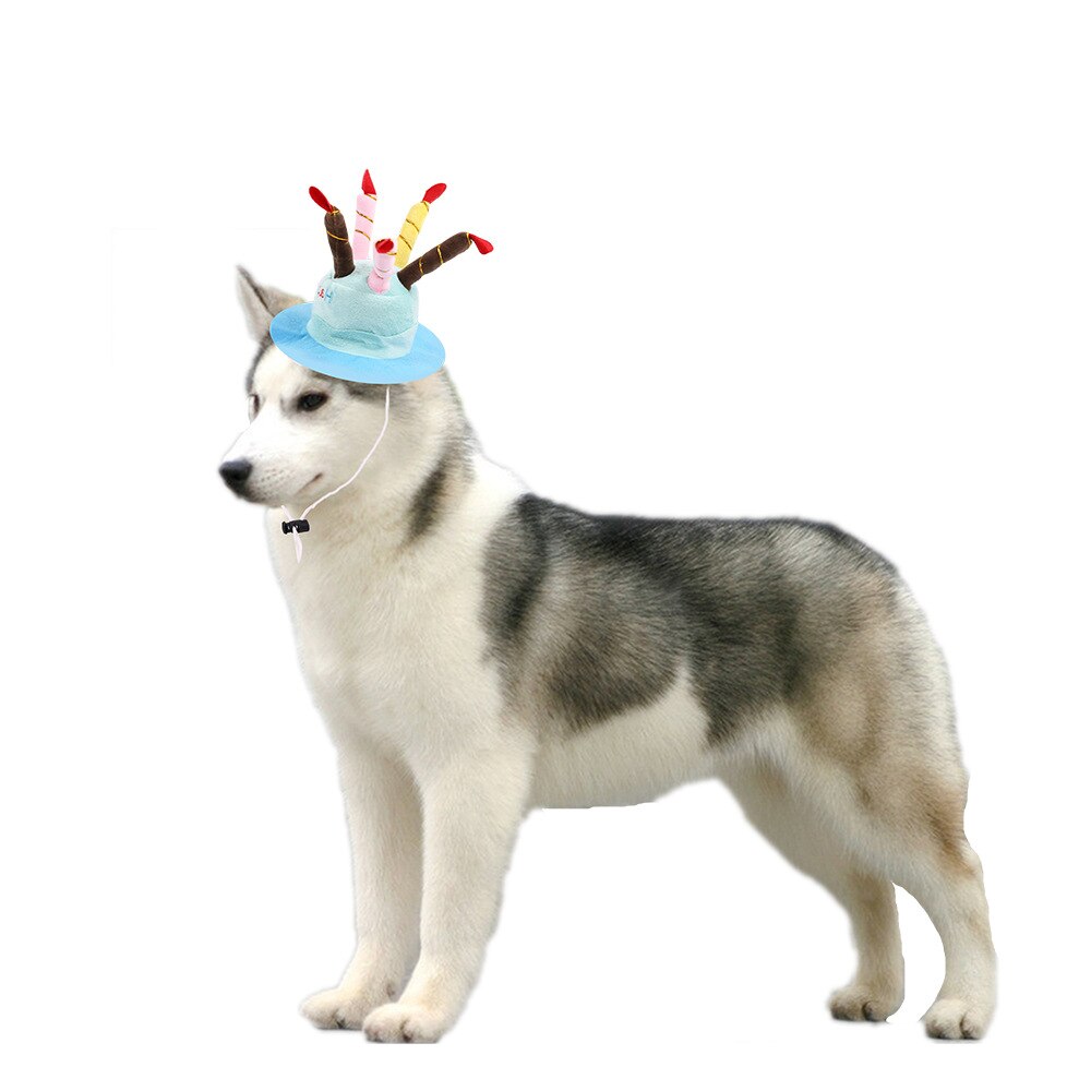 Pt007 Plush Birthday Hat For Dogs Cats Dog Supplies Pet Gift Dog Hat