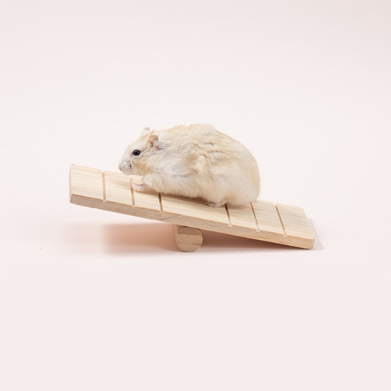 Parrot toy wooden stairs Amazon express hamster Parrot Bird Cat Dog