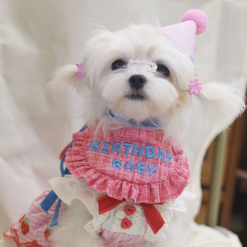 Pet Birthday Party Dress Up Cute Bib Triangle Puppy Cat Scarf Maltese