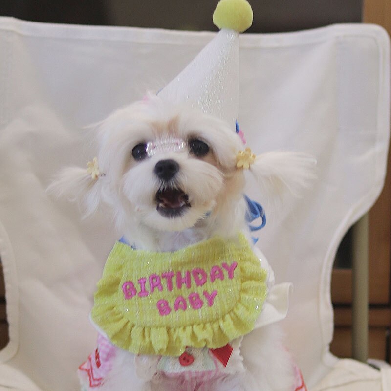 Pet Birthday Party Dress Up Cute Bib Triangle Puppy Cat Scarf Maltese