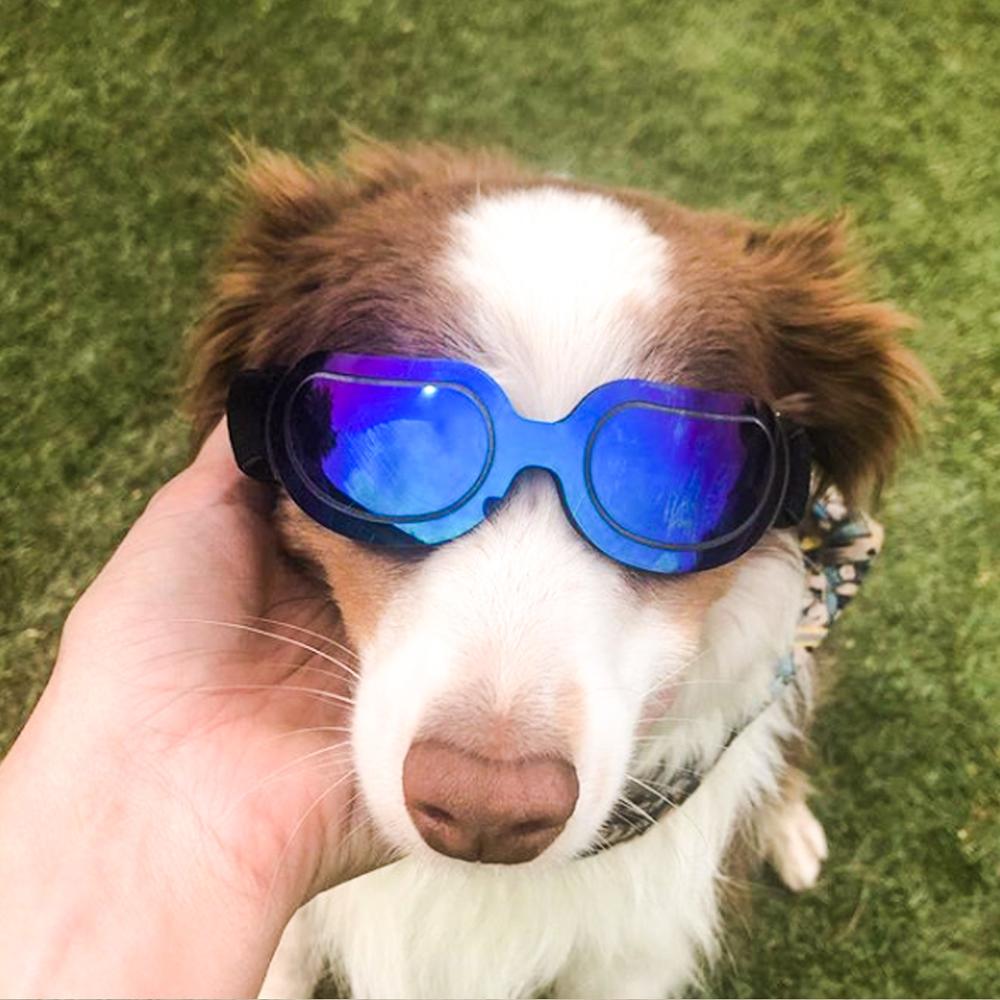 Pet Dog Sunglasses Adjustable Goggles For Small Medium Large Dogs Cats