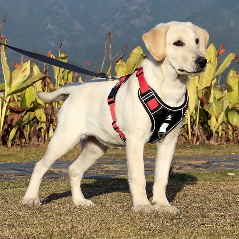 Pet Harness Reflective Dog Harness Vest Adjustable Safety Lead Straps