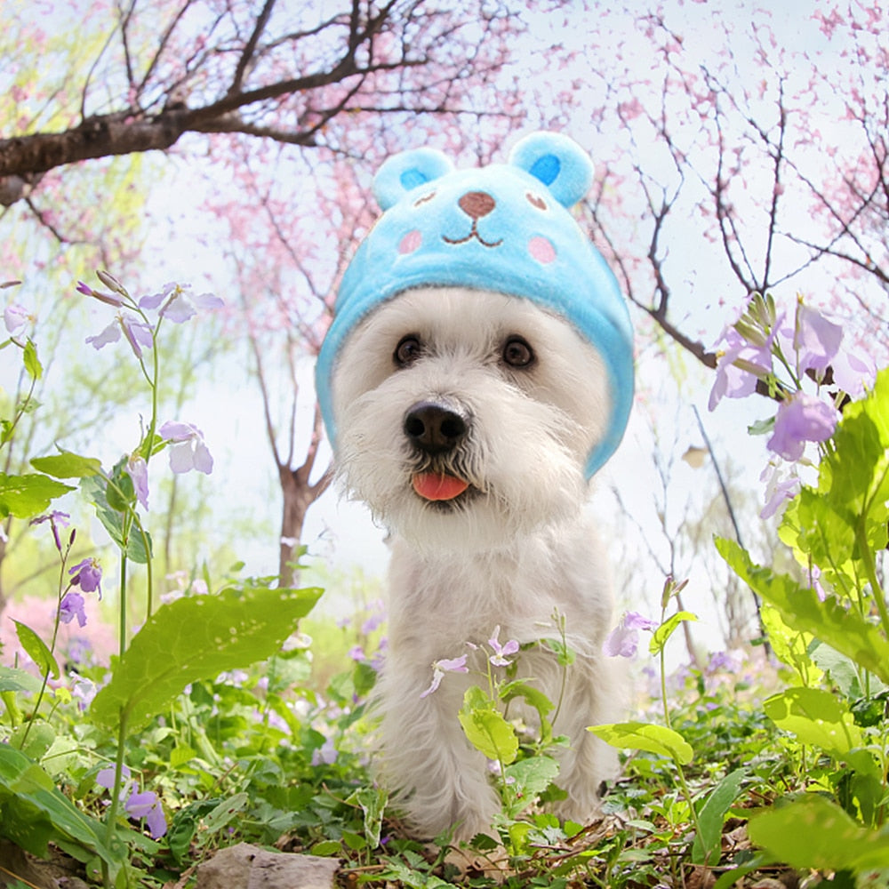 Pet Hat Animal Shape Funny Personalized Costume Pet Accessories Party