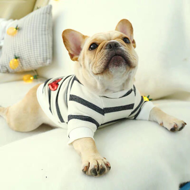 Pet dog spring and summer black and white striped love round neck