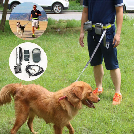 Running Dog Leash Dog Training Bag Pet Collar Rope Hand Free