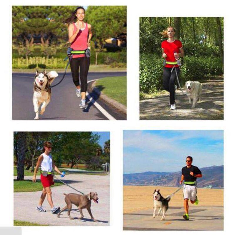 Running Dog Leash Dog Training Bag Pet Collar Rope Hand Free