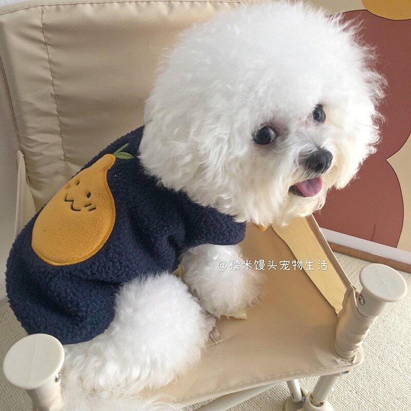 Send Scarf Cute Cartoon Orange Dog Vest Winter Pet Dog Clothes For