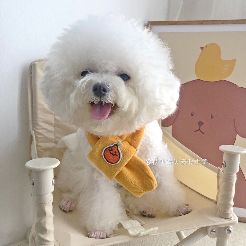 Send Scarf Cute Cartoon Orange Dog Vest Winter Pet Dog Clothes For