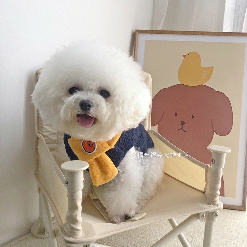 Send Scarf Cute Cartoon Orange Dog Vest Winter Pet Dog Clothes For