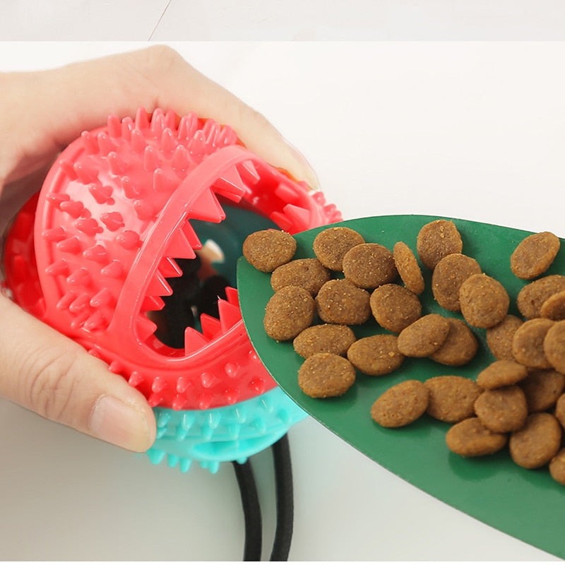 Silicon Pet Dog Toys Suction Cup Tug Dogs Chewing Push Ball Toy Pet