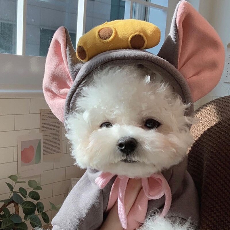 Sweet Cartoon Bear Ears Hoodie Winter Pet Dog Clothes Honey Hat