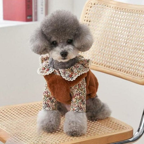 Sweet Dog Hoodies Winter Pet Dog Clothes Plush Lace Dog Vest Fleece