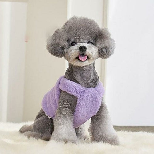 Sweet Dog Hoodies Winter Pet Dog Clothes Plush Lace Dog Vest Fleece